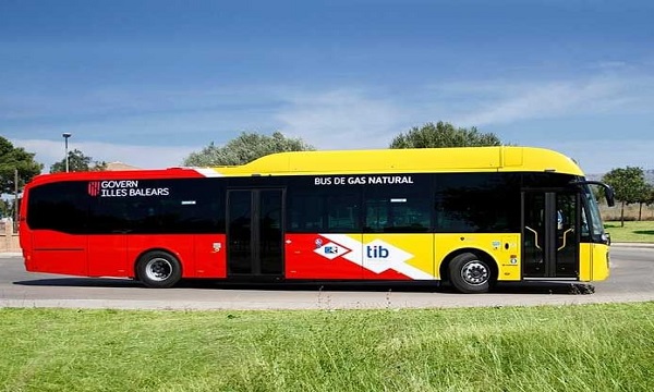 bus_standard